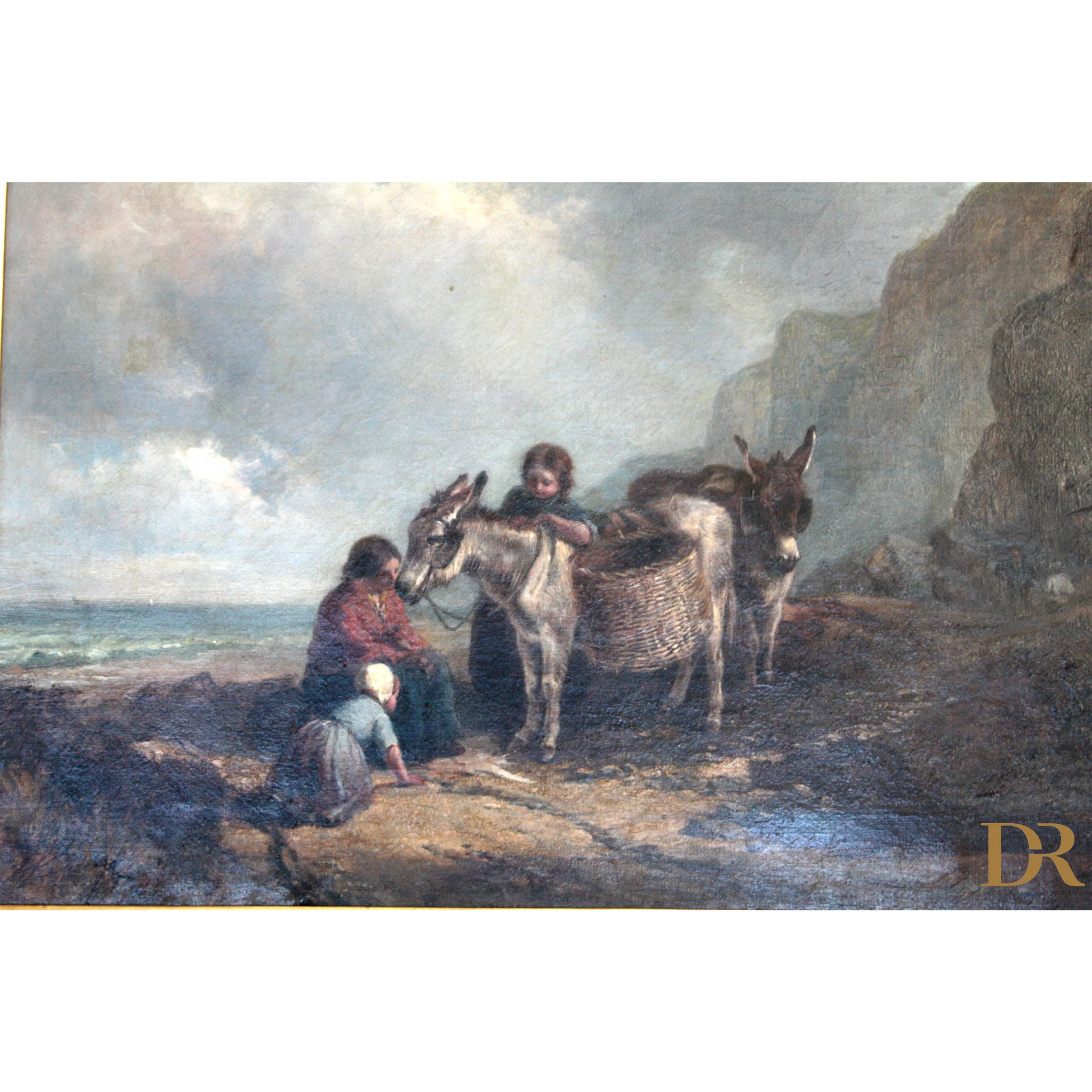 Asino marrone con marchio di attribuzione di Joseph Paul Pettitt su terreno roccioso