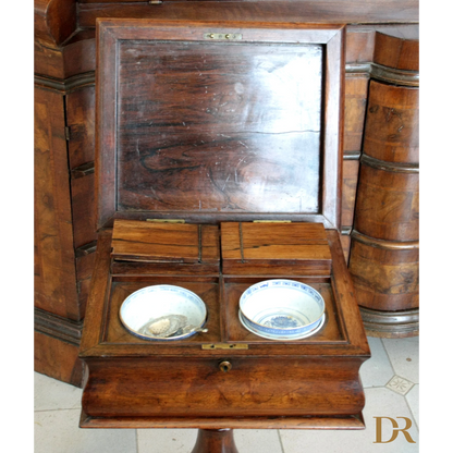 Antico caffettiera in legno del XIX secolo Gran Bretagna, perfetta per casa