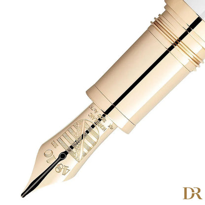 Montblanc stilografica Patron of Art Homage to Albert Limited Edition 4810 punta M 127850