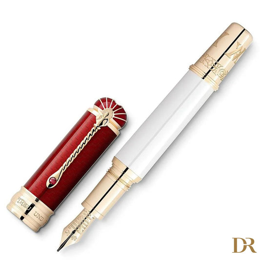 Montblanc stilografica Patron of Art Homage to Albert Limited Edition 4810 punta M 127850