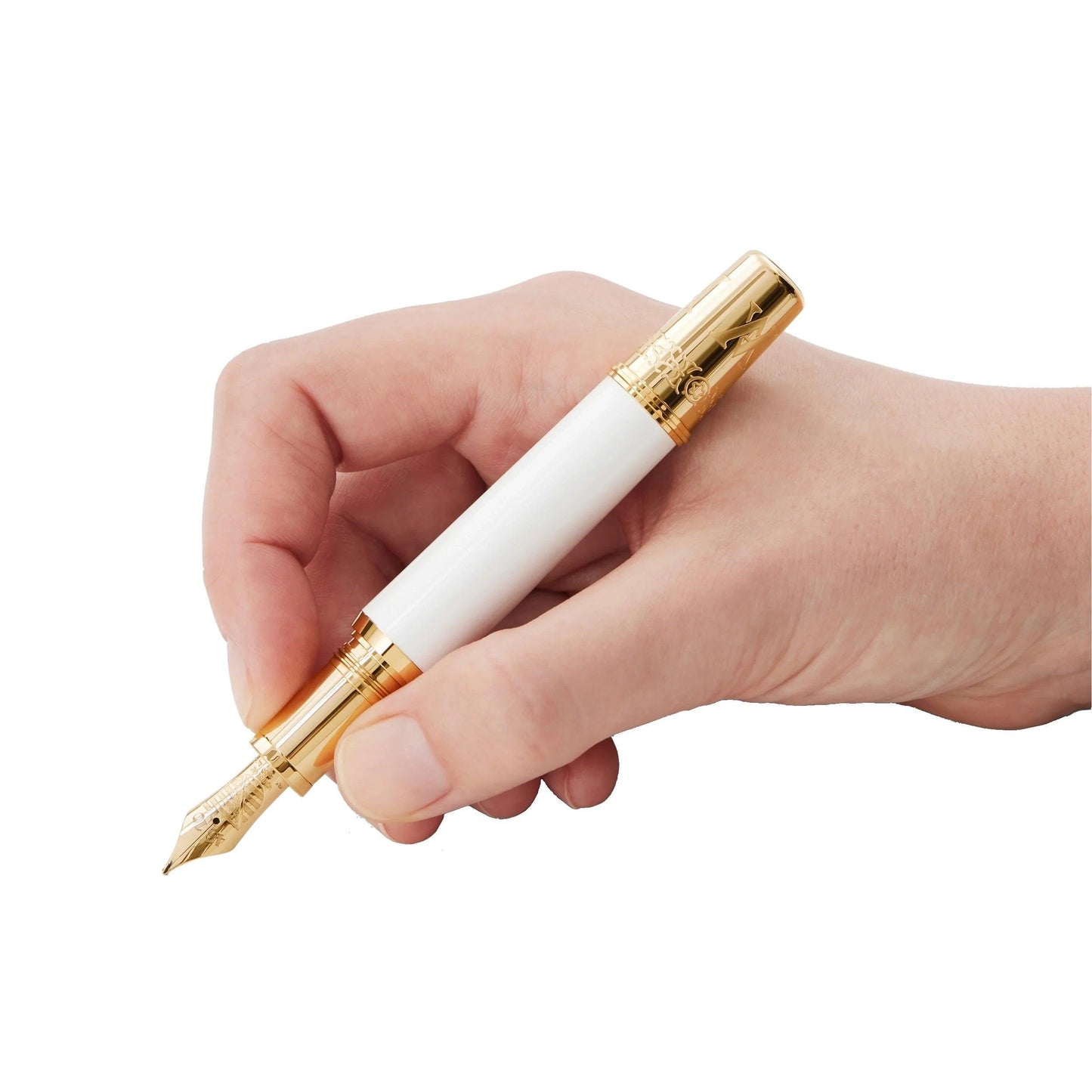 Stylo plume Montblanc Patron of Art Hommage à Albert Édition Limitée 4810 Plume M 127850