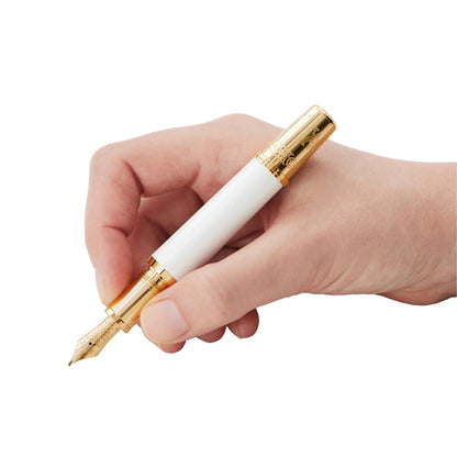 Montblanc stilografica Patron of Art Homage to Albert Limited Edition 4810 punta M 127850