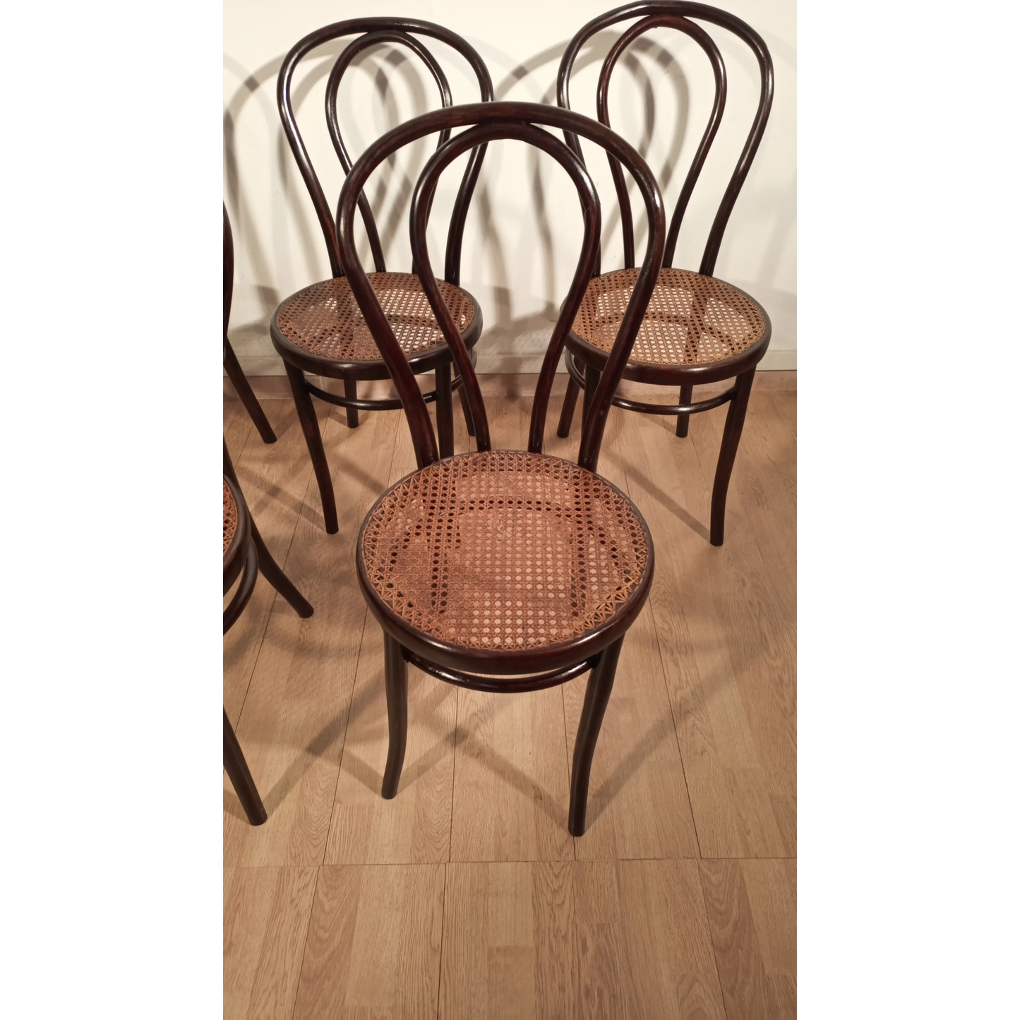 Sedie in stile Thonet, Drava D.D. Maribor Jugoslavia, XXI° secolo , set di 5