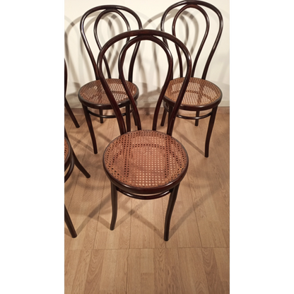 Sedie in stile Thonet, Drava D.D. Maribor Jugoslavia, XXI° secolo , set di 5