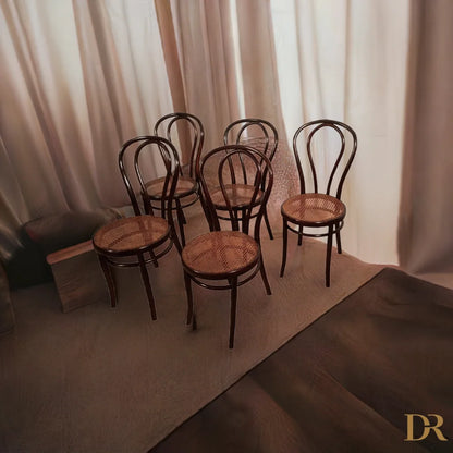 Sedie in stile Thonet Drava set di 5 con sedili in midollo di sezione mícara