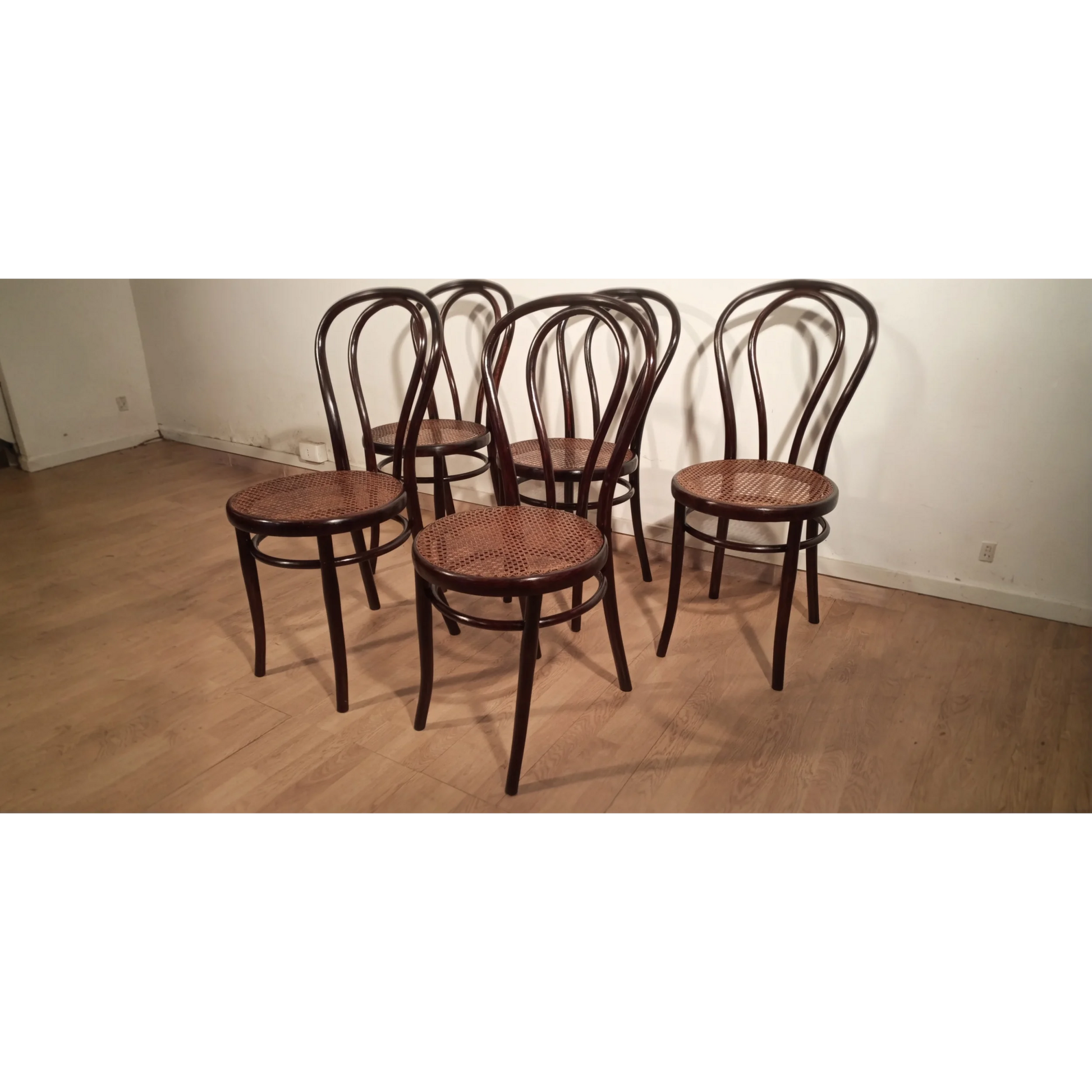 Set di sedie in stile Thonet Drava con seduta in corda intrecciata