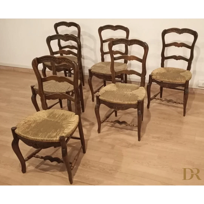 Set 6 sedie provenzali rustiche rovere massello ottocento restaurate ottime condizioni Dario Raia Antiquariato Modernariato Vintage Mobili da pranzo Mobili nuovi per la casa Sedia da cucina Sedie da pranzo Sedie da pranzo moderne Sedie da sala da pranzo Sedie da tavolo da pranzo Sedie di metà secolo Sedie in legno di quercia Sedie in legno massiccio Sedie in legno vintage Set di sedie da pranzo Set di sedie industriali