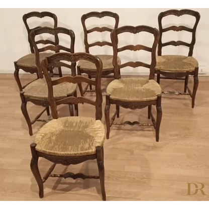 Set 6 sedie provenzali rustiche rovere massello ottocento restaurate ottime condizioni Dario Raia Antiquariato Modernariato Vintage Mobili da pranzo Mobili nuovi per la casa Sedia da cucina Sedie da pranzo Sedie da pranzo moderne Sedie da sala da pranzo Sedie da tavolo da pranzo Sedie di metà secolo Sedie in legno di quercia Sedie in legno massiccio Sedie in legno vintage Set di sedie da pranzo Set di sedie industriali